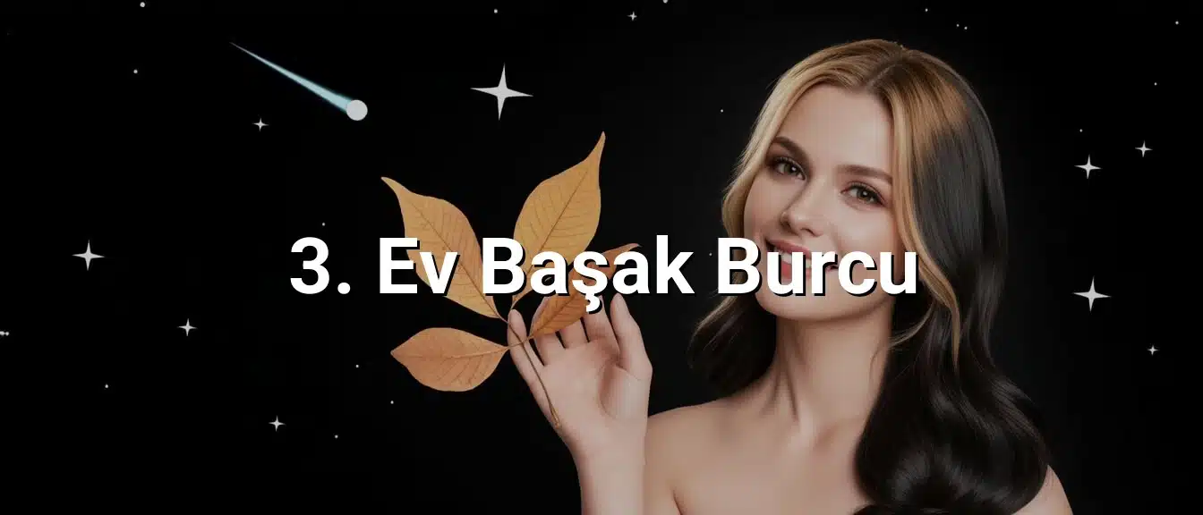 3. Ev Başak Burcu